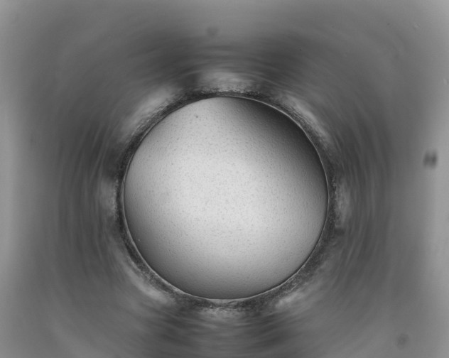 X0000092060537200709191144