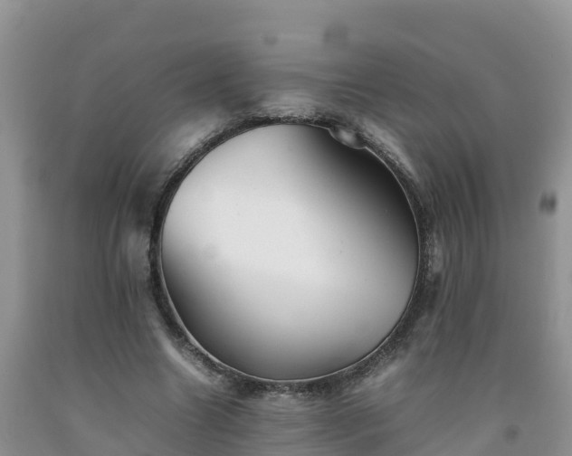 X0000092060538200709191144