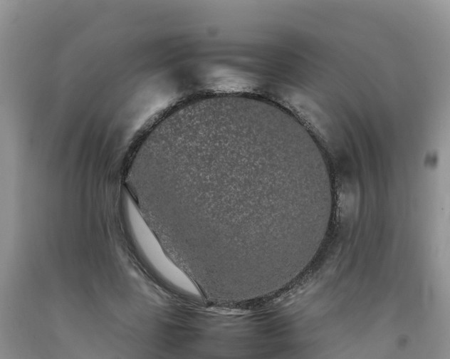 X0000092060539200709191144