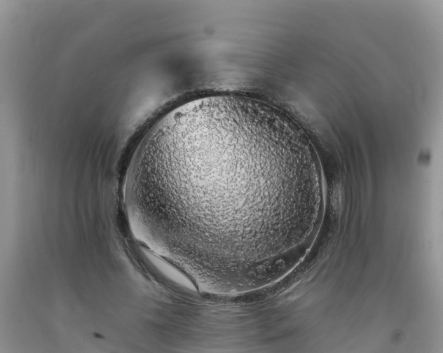 X0000092060540200709191144