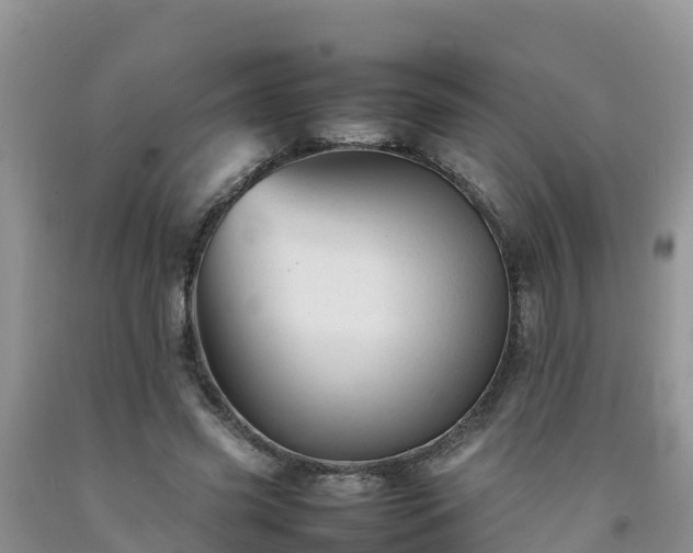 X0000092060541200709191144