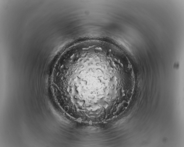 X0000092060542200709191144