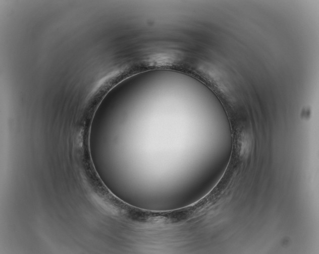 X0000092060543200709191144