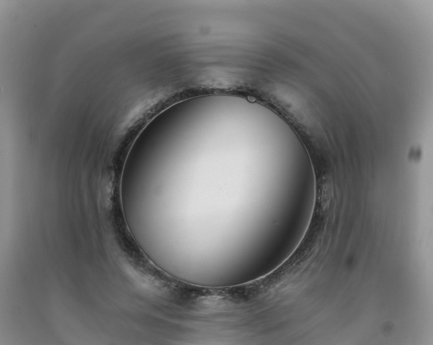 X0000092060544200709191144