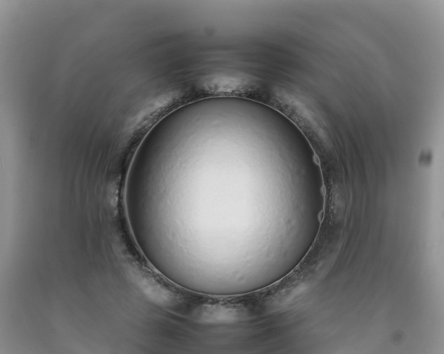 X0000092060545200709191144