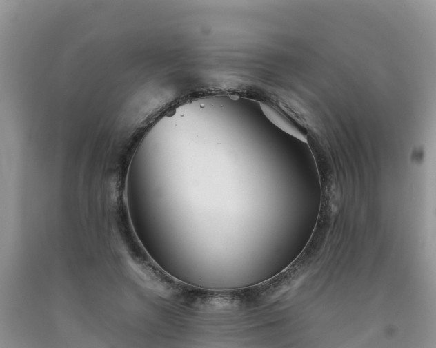 X0000092060546200709191144