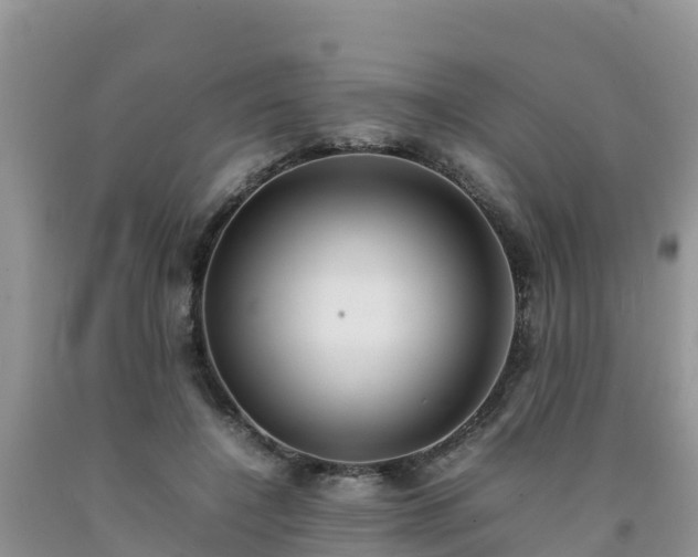 X0000092060548200709191144