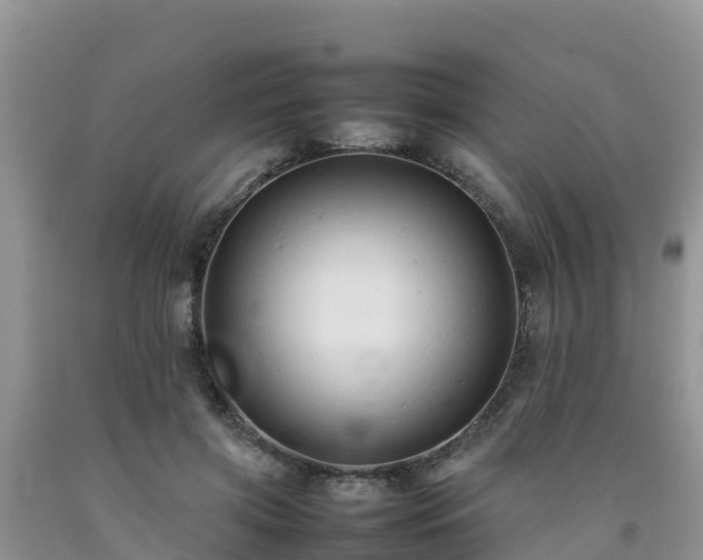 X0000092060549200709191144