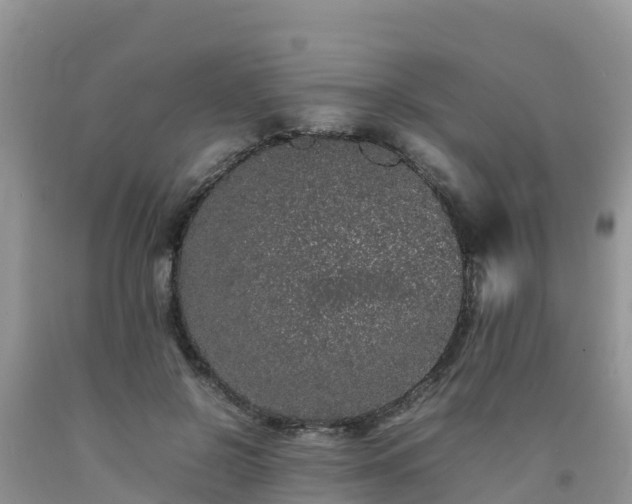 X0000092060550200709191144