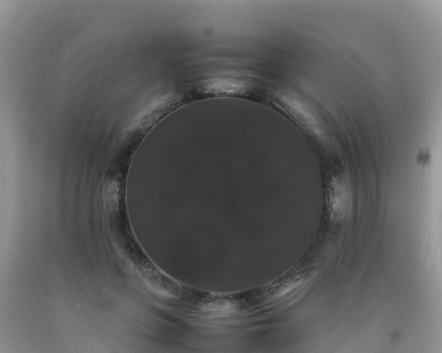 X0000092060551200709191144