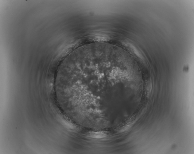 X0000092060553200709191144