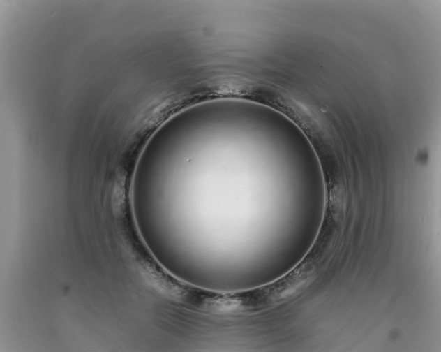 X0000092060554200709191144