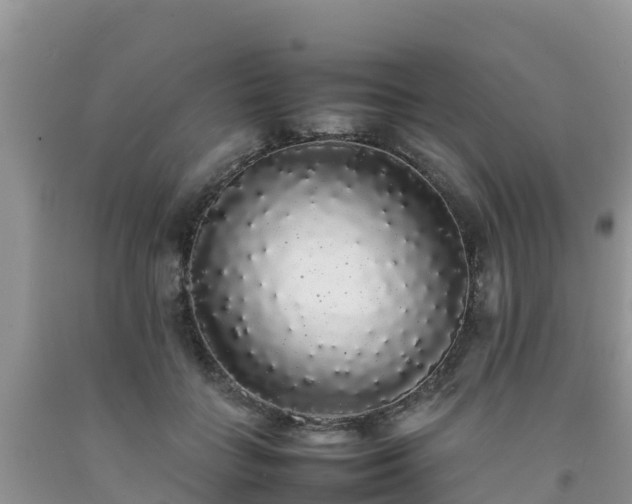 X0000092060555200709191144