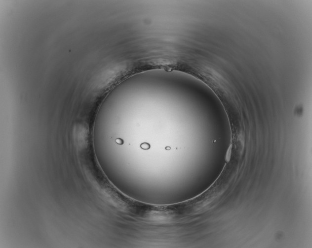 X0000092060556200709191144