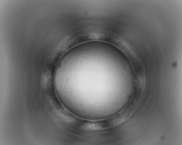 X0000092060557200709191144