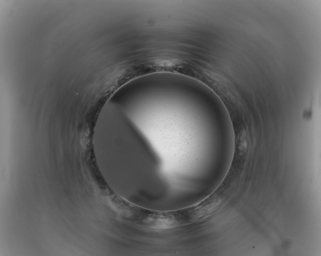 X0000092060559200709191144