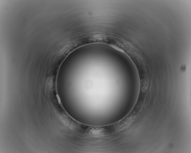 X0000092060560200709191144