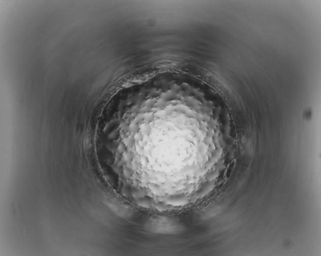 X0000092060561200709191144