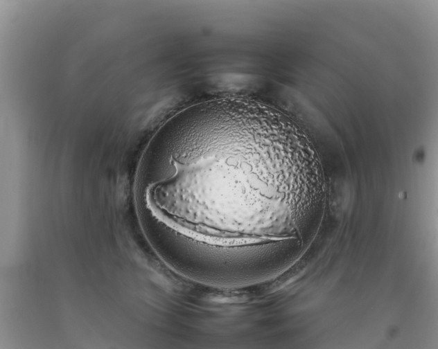 X0000092060563200709191144