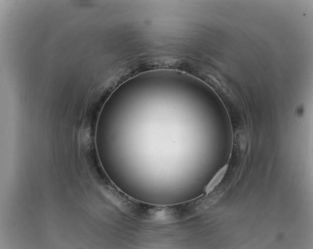 X0000092060564200709191144