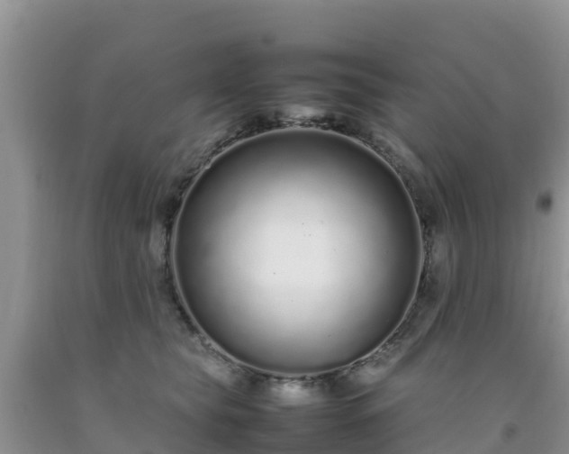 X0000092060565200709191144