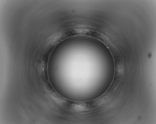 X0000092060567200709191144