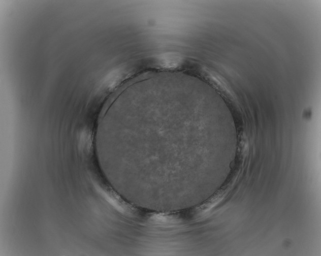 X0000092060568200709191144