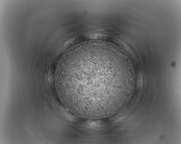 X0000092060569200709191144