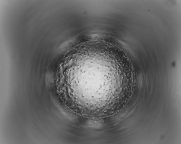 X0000092060571200709191144