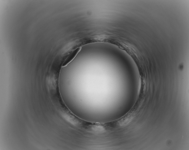 X0000092060572200709191144