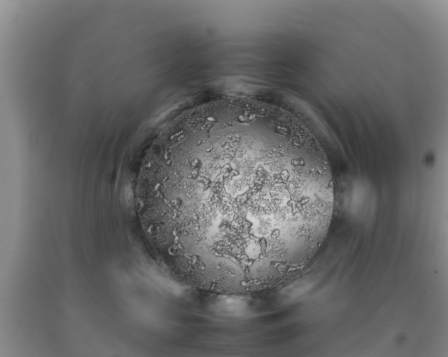 X0000092060573200709191144