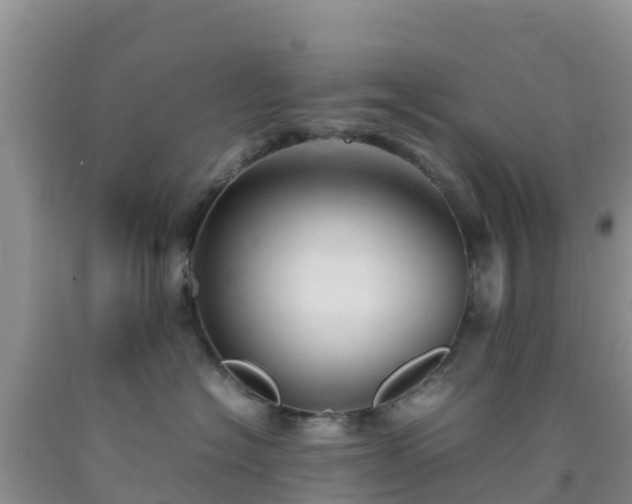 X0000092060574200709191144