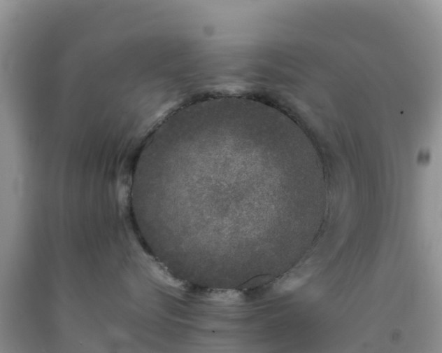 X0000092060576200709191144