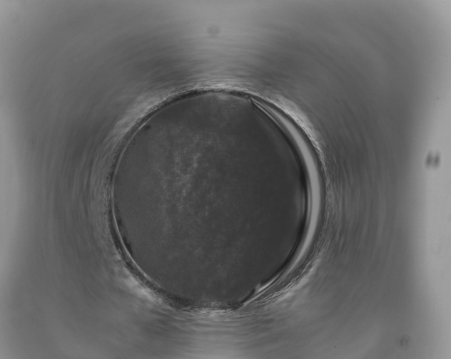 X0000092060577200709191143