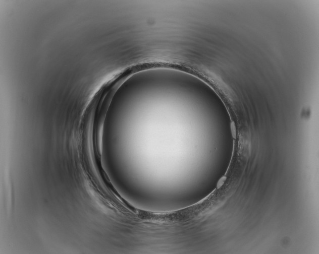 X0000092060580200709191143