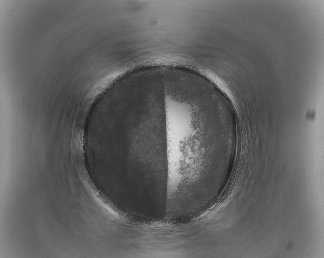 X0000092060581200709191143