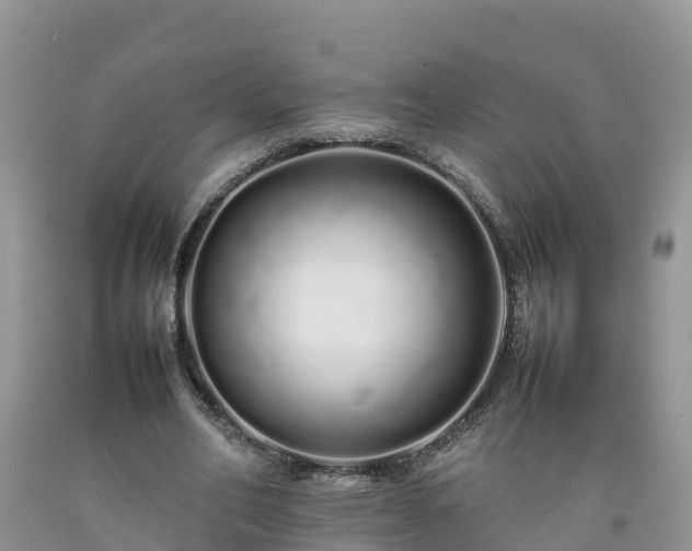 X0000092060582200709191143