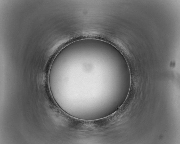 X0000092060583200709191143