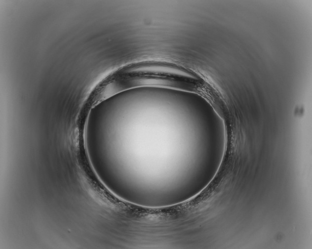 X0000092060584200709191143