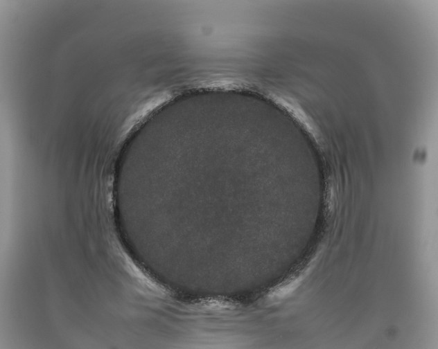 X0000092060585200709191143