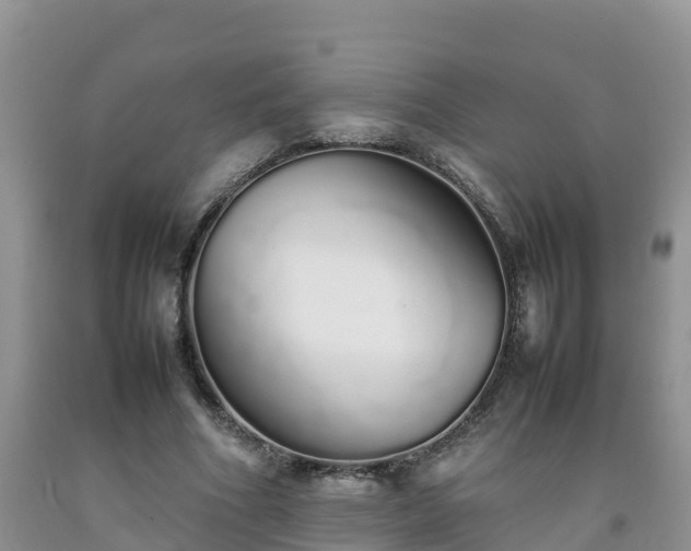 X0000092060586200709191143