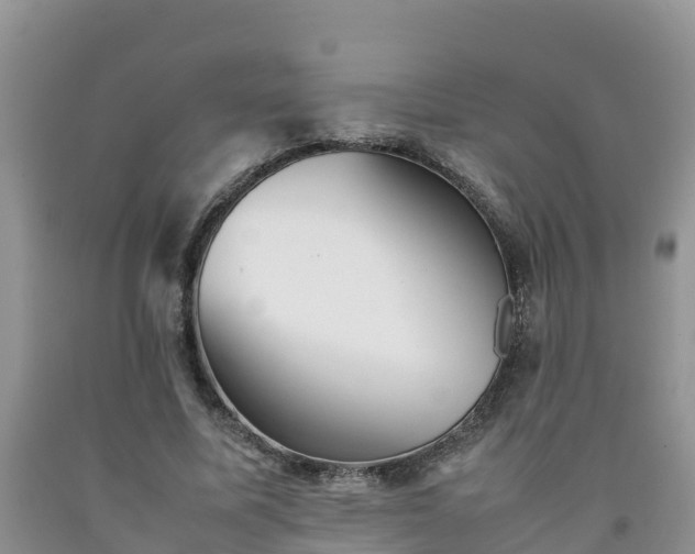 X0000092060587200709191143