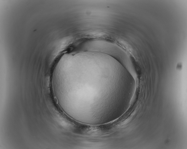 X0000092060589200709191143