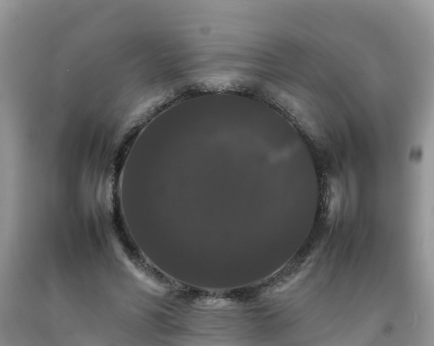 X0000092060590200709191143