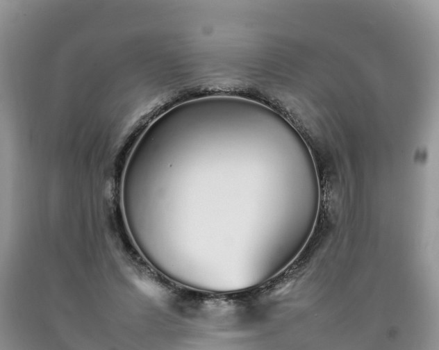 X0000092060591200709191143