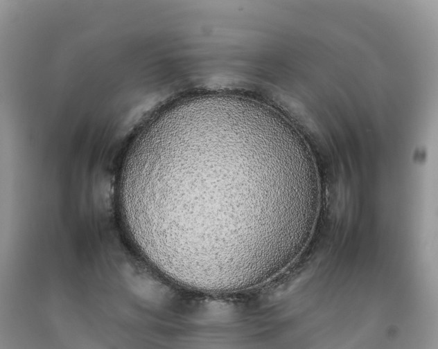 X0000092060592200709191143