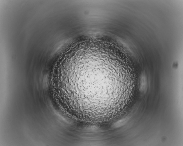 X0000092060594200709191143