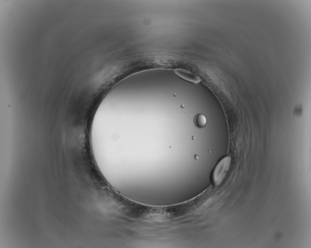 X0000092060595200709191143