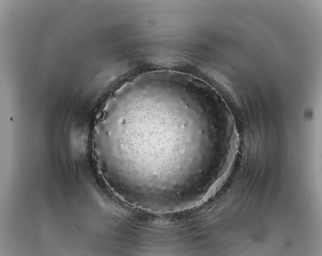 X0000092060596200709191143