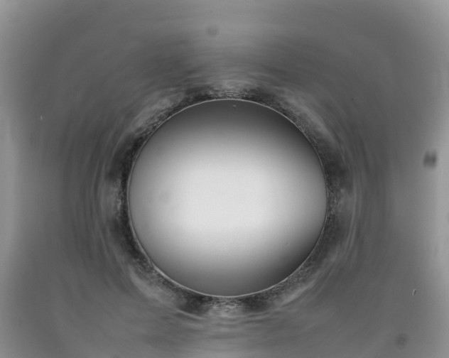 X0000092060599200709191143